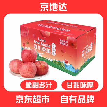 Jingdi dalochuan red fuji apple 16 pieces single fruit 235g + fresh fruit fresh new year's day gifts sent directly from the source