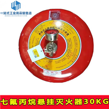 Zhe'an portable 4kg heptafluoropropane fire extinguisher 6kg 8kg 10kg hanging agent gas fire extinguishing device hanging 30kg heptafluoropropane fire extinguisher