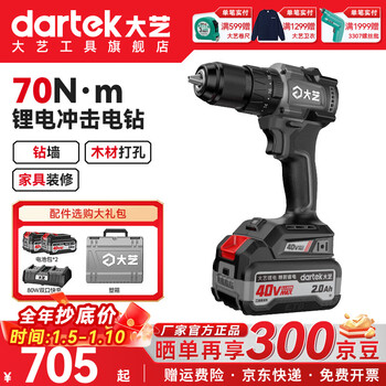 Dayi impact electric hand drill lithium battery brushless two-speed rechargeable multi-function driver impact drill pistol drill 40v1370i 2.0ah two batteries and one charge with impact