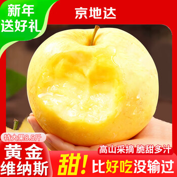 Jingdida shandong golden venus apple net weight 8.5 jin single fruit 85mm + fruit festival gifts directly from the source free shipping