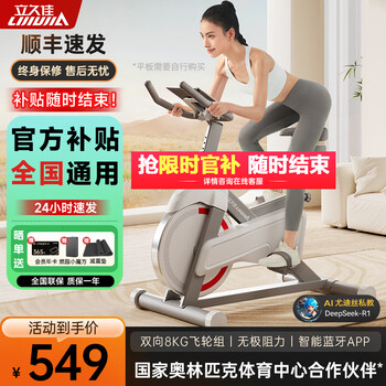 Lijiujia spinning bicycle home intelligent sports fitness equipment indoor silent bicycle small d100 fat burning small rubik's cube version/16 catties flywheel set