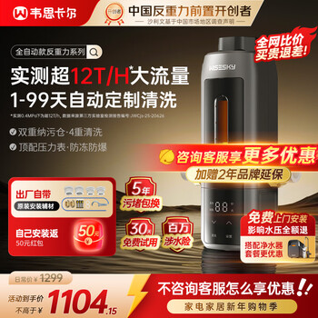 Wisesky fully automatic anti-gravity pre-filter ultra-12t flow whole house household automatic cleaning explosion-proof and anti-freeze water purifier wsp-85-80t pro