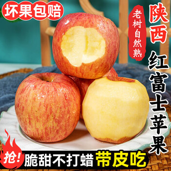 Jingyuan shaanxi red fuji apple crispy sweet ugly apple seasonal flat fruit fresh rock candy heart apple fruit fresh 5 jin affordable pack (net weight 4.5 jin)