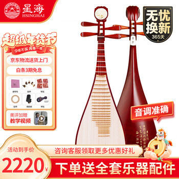 Xinghai pipa 8912-2 african rosewood pipa national string instrument pipa hardwood pipa