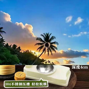 Yusenyi 304 food grade snow meiniang skin mold qingtuan mooncake skin presser home use for making dumpling skins and buns presser (abs material-304 stainless steel pressing groove) large arc design skin pressing mold (2 pieces)