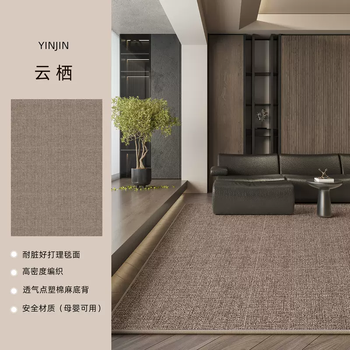 Yusenyi carpet living room 2025 new light luxurious high-grade feeling no-washable sofa waterproof floor mat bedroom large surface yunqi 16003 light brown 240x360cm (skin friendly, cool, so comfortable)