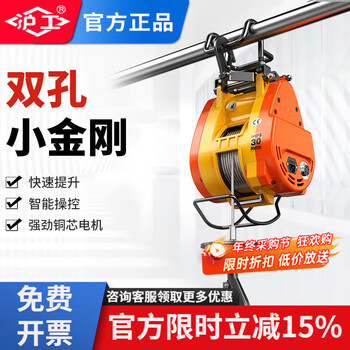 Shanghai industrial double hole small king kong electric hoist household suspension crane wire rope portable lift 220v hoist double hole 300kg 30m + wireless remote control