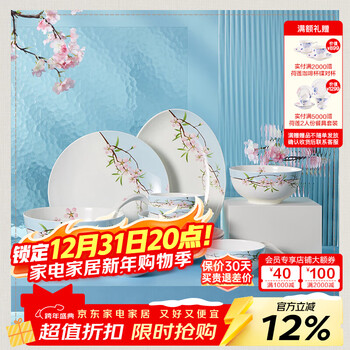 Magalonte annual party gift yuhuaxuan tableware complete set of light luxury chinese bone china dinner plates household dishes and cutlery tableware for 4 people gift packaging 20 pieces