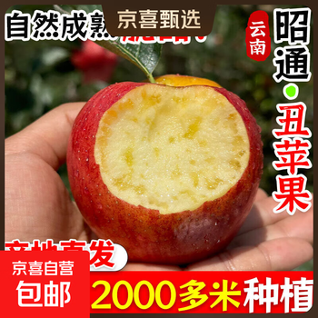 Freshly picked yunnan zhaotong jinshuai green apples, fresh sour, crisp and sweet apples for pregnant women, seasonal ugly apples, 9 jins in a box, 1 jin in small fruit, 60-70mm