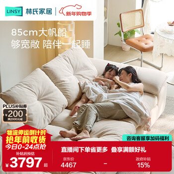 Lin's home sailing fabric sofa living room 2025 new adjustable backrest sitting deep sofa g290