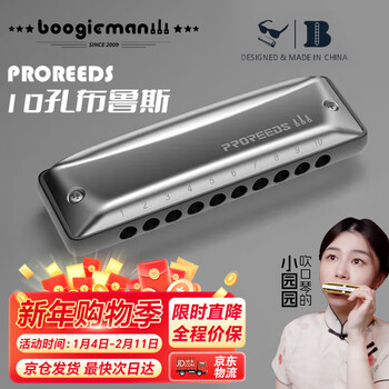 Boogieman yuanyuan's same model proreeds ten-hole harmonica paddy blues for adults and children beginners blues 10 holes