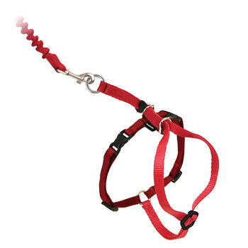 Petsafe come with me kitty cat harness medium red