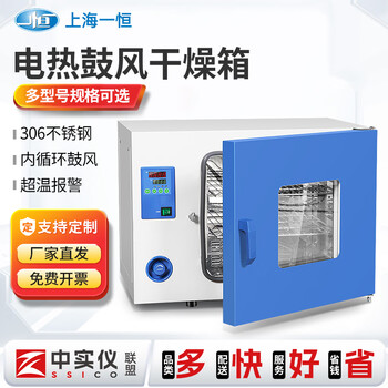 Yiheng laboratory electric blast drying oven drying oven high temperature oven industrial constant temperature drying oven dhg-9030 30l galvanized iron liner