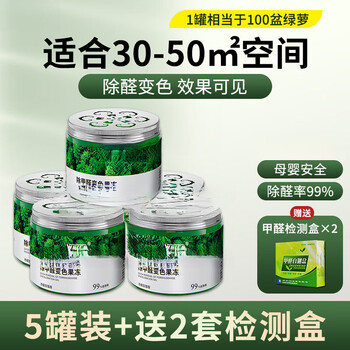 Shantou lincun formaldehyde removal jelly household powerful purification magic box activated carbon to remove odor 5 cans 50 square meters plus a test box