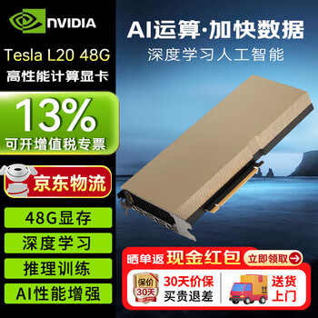 Jingjia tesla l20 48g gddr6 high-performance ecc/275w tdp/deep learning/complex modeling large memory professional graphics card industrial packaging