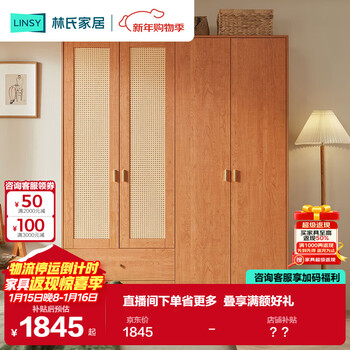 Lin's home european simple rattan wardrobe bedroom household simple wardrobe rental room hanging wardrobe ow1d