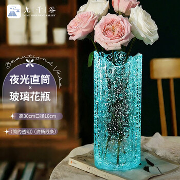 Jiuqiangu luminous vase glass high-end living room decoration straight flower arrangement water culture hydroponic container height 30cm1050
