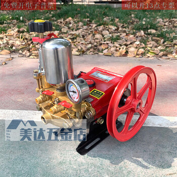 Sailuto agricultural 21 26 60 type three-cylinder plunger pump motorized sprayer sprayer high-pressure gasoline electric self-priming water pump red 21 type pump single water tank pulley