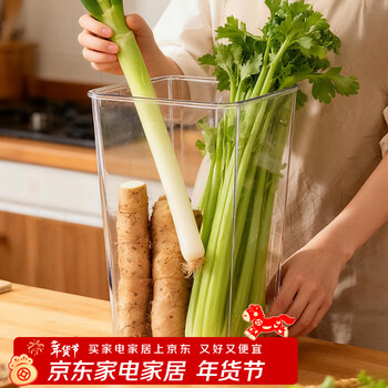 Youqin multifunctional green onion storage box iron bar yam transparent storage bucket kitchen ginger and garlic ingredients large capacity organizing tube square small yam and green onion storage box
