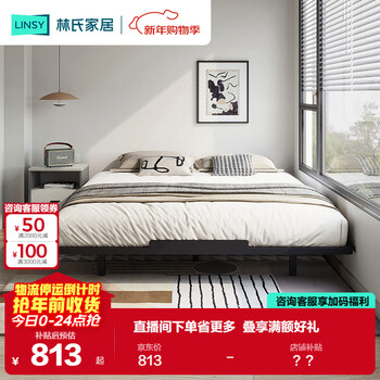 Lin's home modern simple no bedside iron frame bedroom iron double bed furniture ls968a4