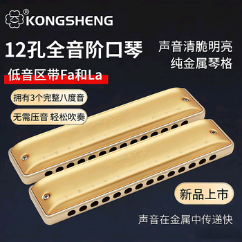 Kongsheng 12-hole harmonica, diatonic harmonica, blues harmonica, professional playing blues harmonica for beginners and enthusiasts, 12-hole golden c key, metal copper grid + full set of gifts