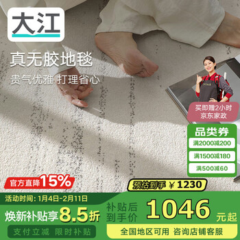 Dajiang starlight gem glue-free carpet living room wash-free waterproof light luxury high-end sofa national subsidy 190x300cm