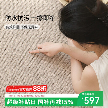 Deemoon carpet living room sofa coffee table bedroom plain diatom silk waterproof and wipeable light luxury and high-end sense 200*300cm