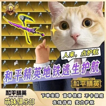 Peace elite subway escape escort. prepare for surnan. escape escort guarantees 2 million. prepare for war. recommended for liquidation. evacuate surnan.