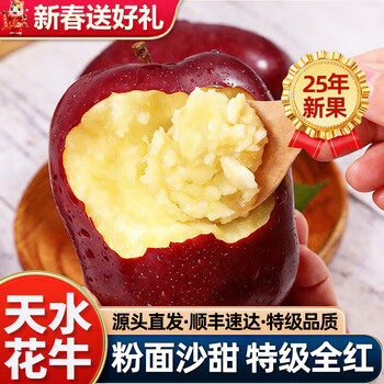 Qin yue fairy fruit, flowers, cow apple, gansu tianshui noodles, apple fruit gift box, american snake fruit, sf express - next day delivery to many places, premium medium fruit 8.5 jin | single fruit 150g + door-to-door delivery