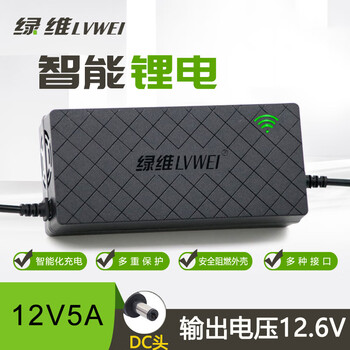 Green dimension lithium battery charger 12v output voltage 12.6v/14.6v lithium battery dc head 12v5a output 12.6v