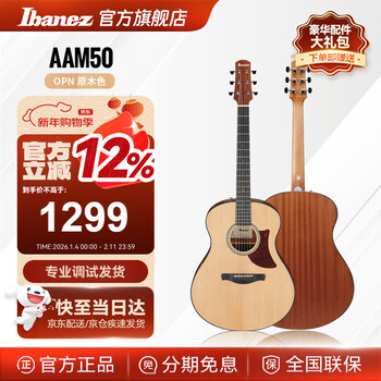 Ibanez ibane/ebins folk guitar aam series aam50-opn