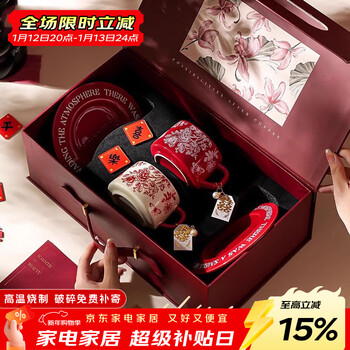 Garson rose ceramic coffee cup and saucer set couple cup gift box wedding gift high-end high-end souvenir