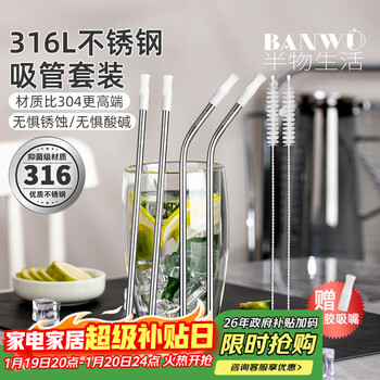 Half life 316l stainless steel straw set metal extension tube food grade non-disposable coffee milk tea iron straw artifact