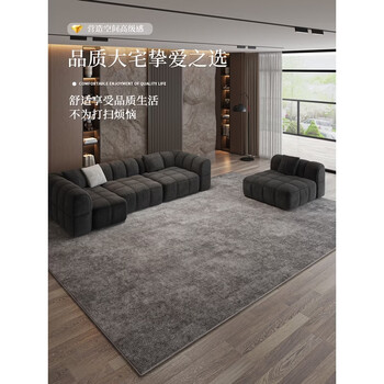 Fantasy carpet living room new light luxury high-end gray waterproof and anti-fouling bedroom bedside blanket minimalist sofa floor mat eternal night 01 160cmx230cm no-wash, ready to use and easy to care