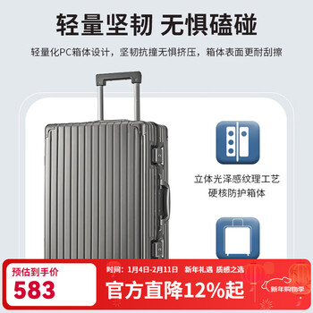 Goldlion suitcase 24-inch checked large-capacity password trolley case for men and women business trip suitcase new year gift for men silver gray fc334006-p2468 24-inch checked luggage required (suitable for short trips of 6-10 days)