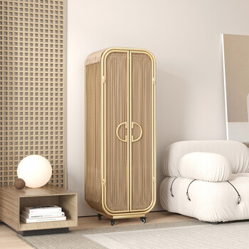 Fantasy nordic simple iron art internet celebrity wardrobe children's creative double door bedroom corner extremely narrow hanging storage storage cabinet customized size please contact customer service for quotation 2 doors