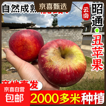 2025 yunnan fresh cherry small apple crisp sweet rock candy heart mini apple red fuji full box 5 jin free shipping 5 jin fruit 70-80mm