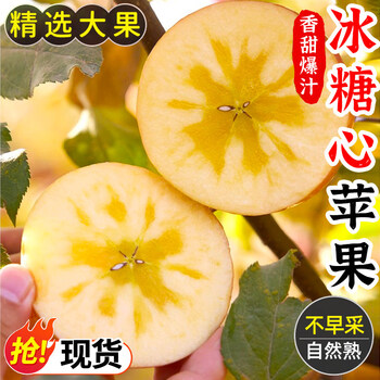 Rising gold xinjiang rock candy heart apple, crisp and sweet alpine red fuji, ugly apple, seasonal fruit whole box b, box 9 jin, net weight 8 jin, single fruit 70-80mm