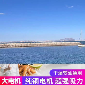 Yusenyi food packaging dual-purpose fully automatic sealing household vacuum machine sealing machine dry and wet extraction and preservation vacuum all-in-one machine (factory direct delivery) fully automatic purple light-dry and wet dual-use