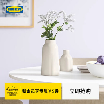 Ikea (ikea) kapkastanj kapkastein vase living room desktop flower arrangement ornaments gray and white vase 23cm