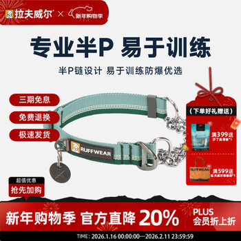 Lovewell ryan off half p chain dog collar large dog neck collar training imported pet supplies river rock green m