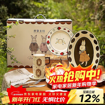 Modern housewife hera rabbit housewarming birthday gift wedding tableware dishes wedding engagement box set-8 pieces for 2 people