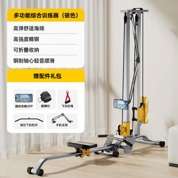 Multifunctional silent rowing machine indoor comprehensive training fitness equipment super fat-burning sports equipment support 11 basic app model silver gray flying bird pull rope___high-position pull-down handle