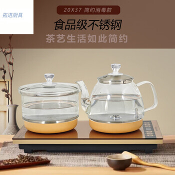 Tuojin japan imported quality fully automatic water supply electric kettle automatic water heater coffee table built-in set gold-simple disinfection style 20*37 1ml