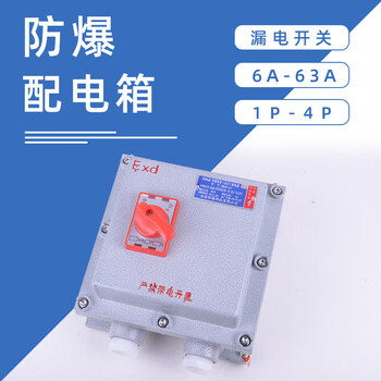 Explosion-proof lighting power distribution box circuit breaker air switch leakage 220v380v10a25a32a63a3p 10a 1p