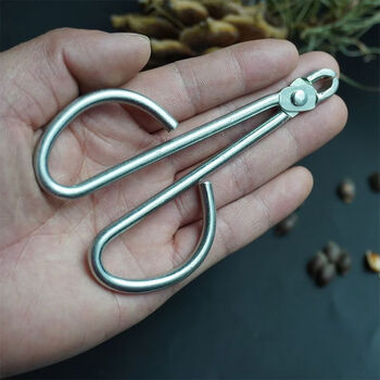 Classic pine nut clip, practical and easy to use pine nut pliers, nut clip, labor-saving and durable pine nut opener, stainless steel pine nut clip in one set