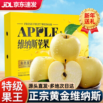 Qin yue fairy fruit fresh apple golden venus apple fruit fresh shandong cream fuji jingdong express next day delivery to many places net weight 8.5 jin丨single fruit 250g+recommended by the store manager
