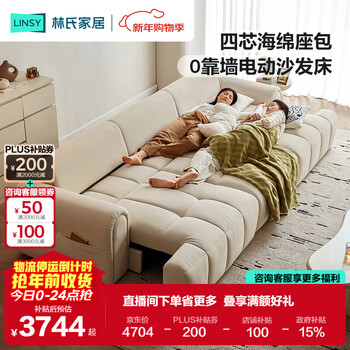 Lin's home puff zero wall-friendly skin-friendly cat scratching cloth all-in-one dual-purpose electric function retractable sofa bed g275