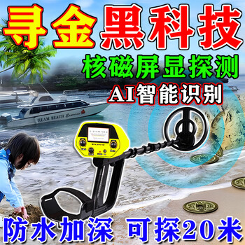Aneng metal detection instrument 10 meters underground gold silver copper handheld pulse high precision archaeological underground treasure hunt 20 visual imported chip - three-speed adjustment - detection ten meters