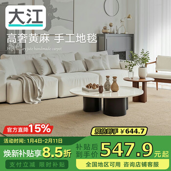 Dajiang hand-woven carpet living room imported jute tea room bedroom carpet sofa anti-cat scratch 120x180cm
